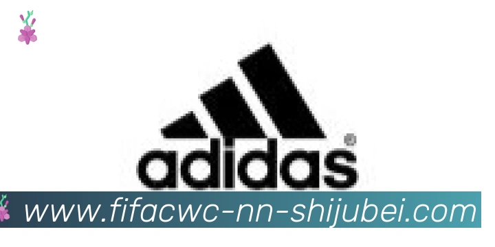 世界杯直播合作伙伴