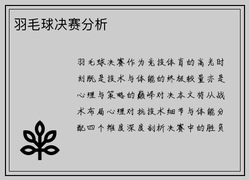 羽毛球决赛分析