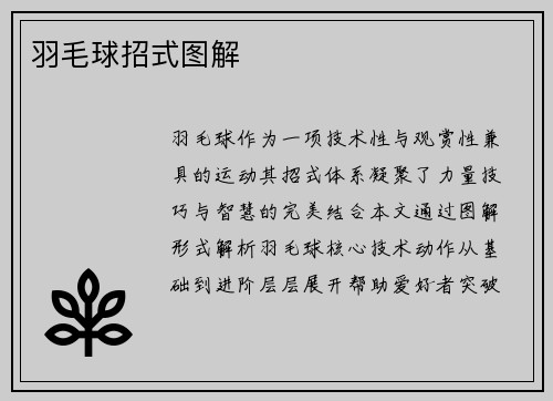 羽毛球招式图解