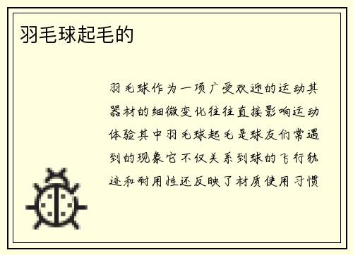 羽毛球起毛的